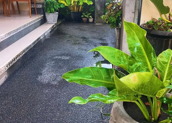 Guru * Ubud